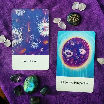 12355987_10153512903189093_1976840921_o